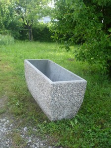 DSC08079 visoko cv.k. višina 45 cm