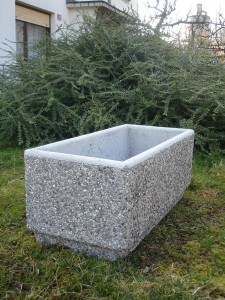 DSC09267 težko cv.k. višina 40cm