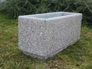 DSC09271 težko cv. k. višina 38 cm