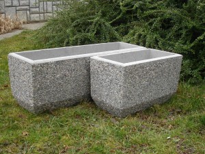 DSC09278 l.cv.k višina 35 cm