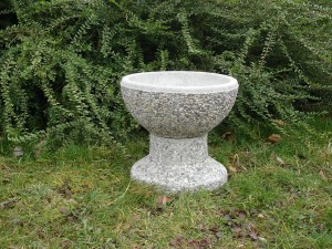 DSC09286 ok.cv.k. 40 cm premer